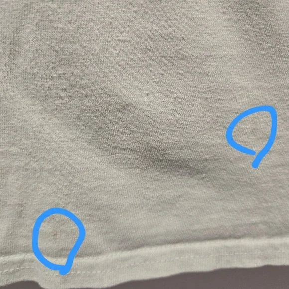 Costa Shirt Mens Or Women Medium Green Short Sleeve Graphic Fish Logo Crewneck - Picture 5 of 8